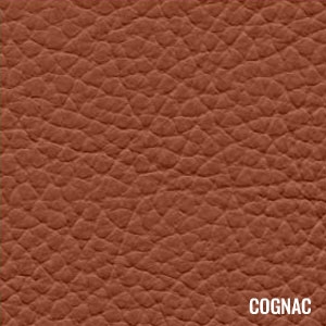 Cognac, What Color Is Cognac Leather